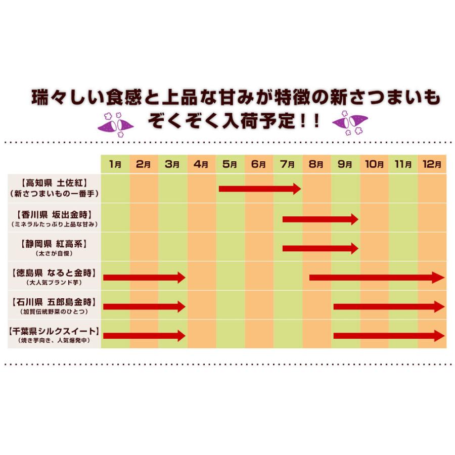 千葉県産 JAかとり シルクスイート Lサイズ5キロ 13本前後 送料無料 さつまいも サツマイモ 薩摩芋 新芋 市場発送