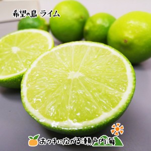 希望の島 国産ライム 家庭用 1kg 小玉～中玉 残留農薬ゼロ ノーワックス 防腐剤未使用 タヒチライム 国産 愛媛 中島産 宅急便コンパクト