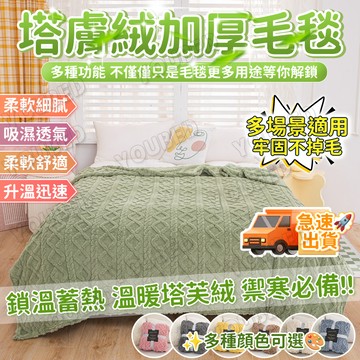 ⚜️虧本衝評+桃園速寄⚜️A類母嬰級 加厚塔芙絨/牛奶絨 雙面立體提花毛毯 蓋毯 9色可選 快速升溫 保暖親膚 防靜電