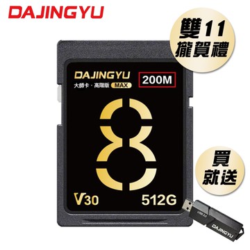 大鯨魚 512GB SDXC UHS-I V30 SD卡 200MB/s 大師Max系列 頂級記憶卡 雙 11 攏賀禮