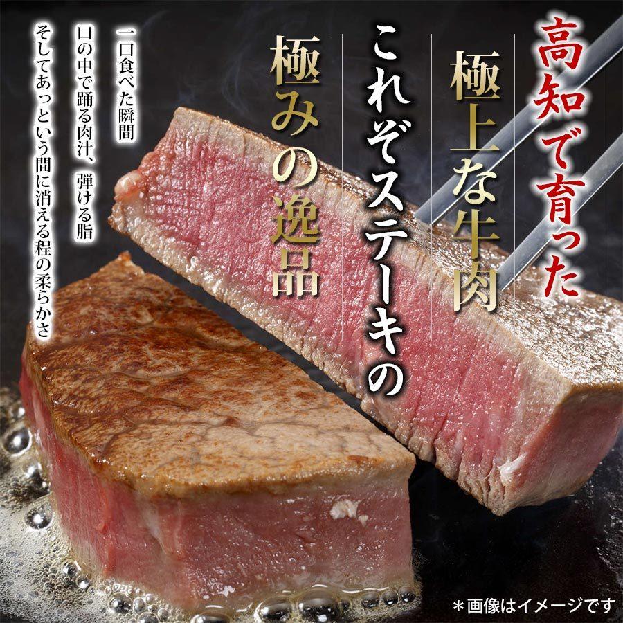 土佐和牛 最高級 A5 特選 ヒレ ステーキ 150g ステーキ肉 冷凍 国産 牛肉 ブランド牛 お取り寄せグルメ 食材