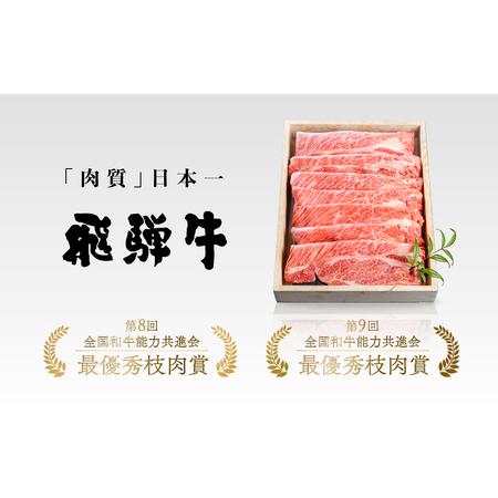 ふるさと納税 飛騨牛 焼肉用切り落とし 600g 岐阜県飛騨市