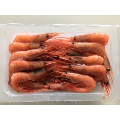 ふるさと納税 増毛町 冷凍甘エビ1.2kg(300g×4パック)