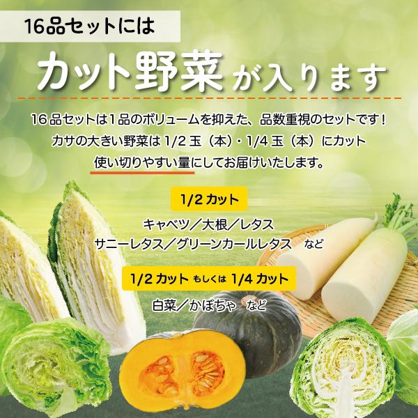 ｜送料無料｜１6品 おまけ付き 野菜詰め合わせ ｜ 野菜セット 詰め合わせ 新潟 旬 野菜 フルーツ