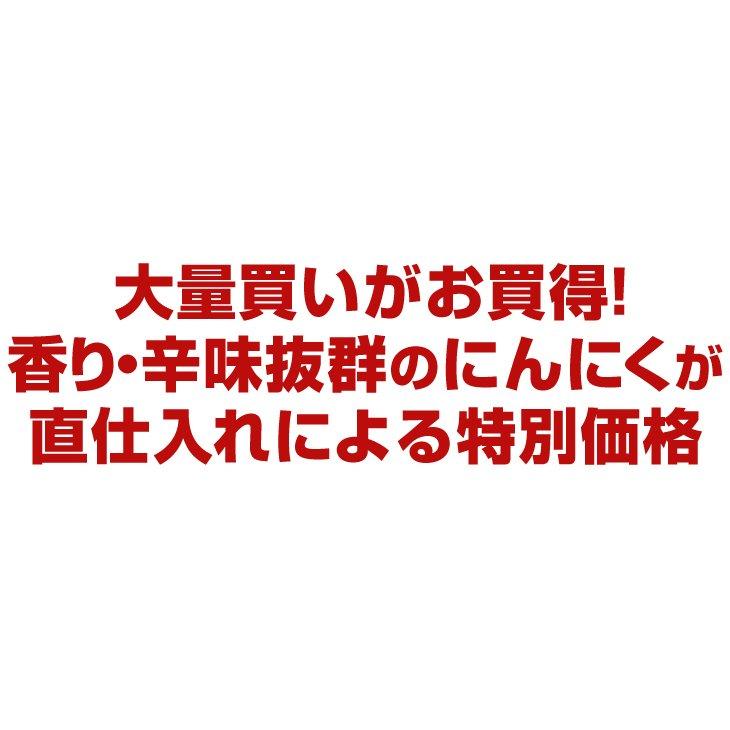 にんにく 10kg 大特価 中国産 にんにく 3Lサイズ 大蒜 送料無料 食品 野菜 国華園