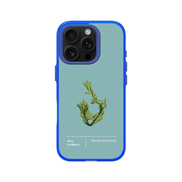 iPhone 16 Pro Clear 激光藍 - The Seaweed Studio - 德文郡・美扇藻研習