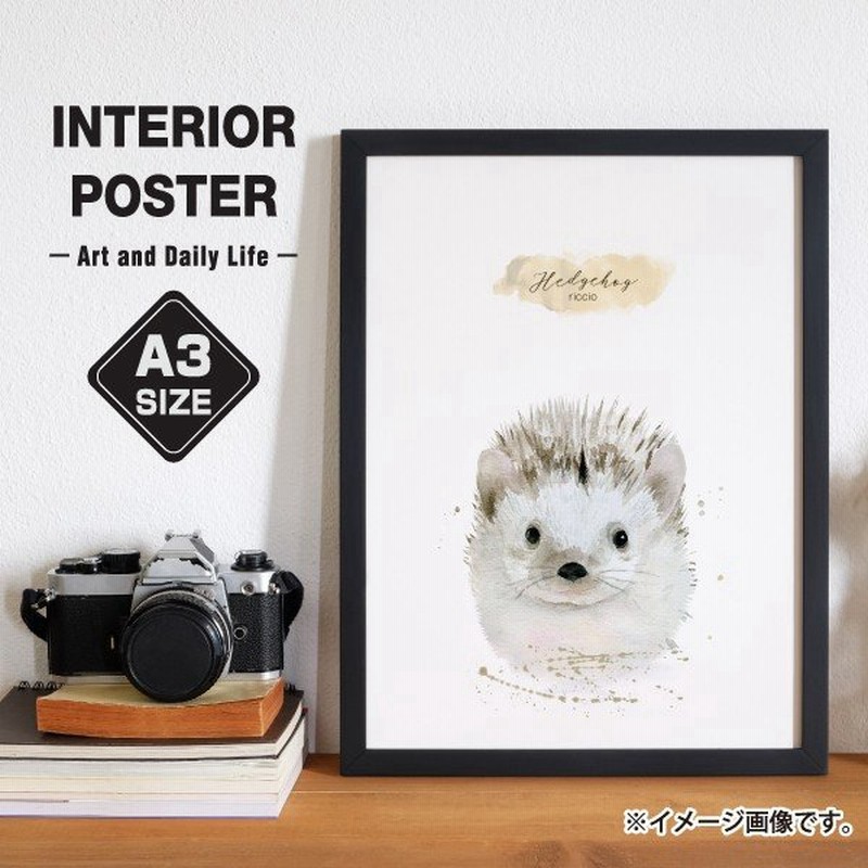 ポスター インテリア A3サイズ ハリネズミ 水彩画風 動物 イラスト かわいい ハリネズミカフェ 一人暮らし 通販 Lineポイント最大0 5 Get Lineショッピング