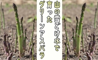 アスパラ 北海道 約1.5kg！露地限定グリーンアスパラ（M・Sサイズ混合）［ほりぐち農園］※2024年5月中旬出荷開始先行予約