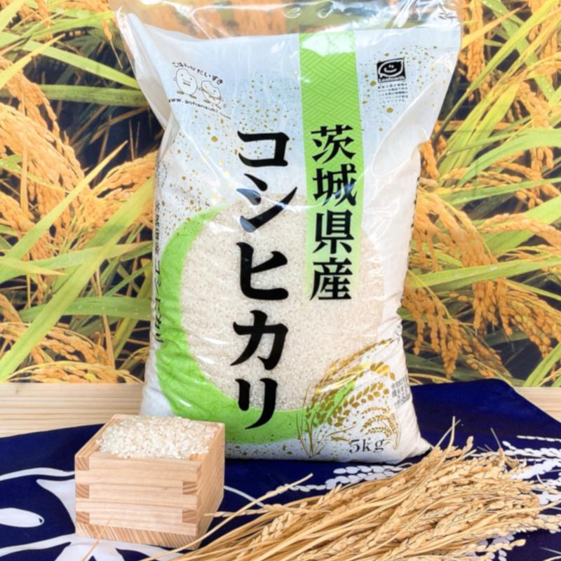 お米 30kg(5kg×6) 茨城コシヒカリ 令和5年産