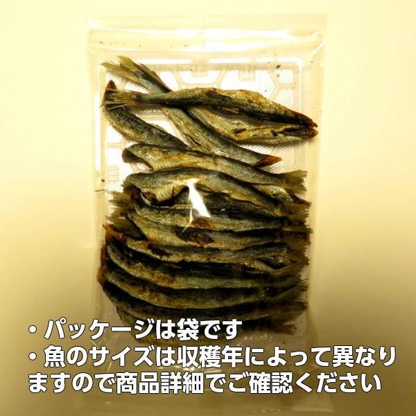 送料無料 焼き干し 青森県陸奥湾産（脇野沢産・外ヶ浜産） いわし 90g