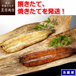 うなぎ 国産 蒲焼き（白焼きも可能）135-160g(肝焼き付)×2尾 （冷蔵） ウナギ 鰻