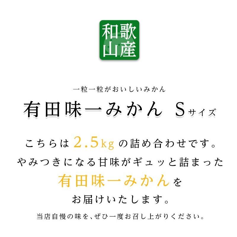 送料無料 和歌山県産 有田 味一みかん Sサイズ 約2.5kg 小玉 糖度 小粒 みかん 送料無料