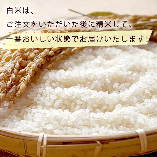 新米 滋賀県産 ミルキークイーン 白米 2kg 令和５年産