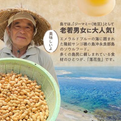 ふるさと納税 和泊町 夏本番!珊瑚の島から贈り物!沖永良部島の赤土 生落花生3キロ!