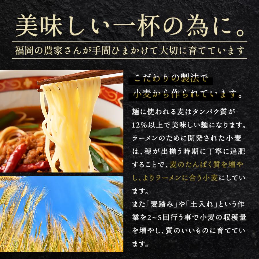 送料無料 6種から選べる 国産小麦 PREMIUM 生ラーメン 5食セット プレミアム ラーメン らーめん 拉麺 食品 生麺 国産小麦使用