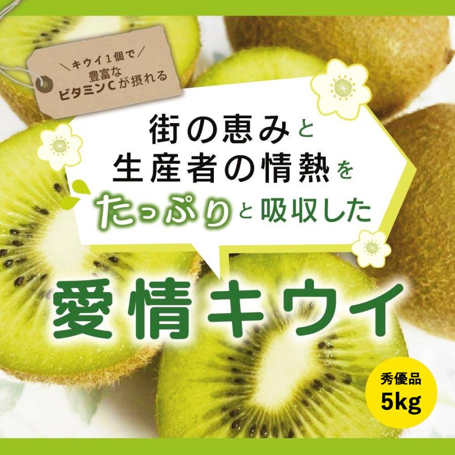 キウイ フルーツ 秀優品 5kg 送料無料 国産 贈答用 ギフト 果物 くだもの 産地直送