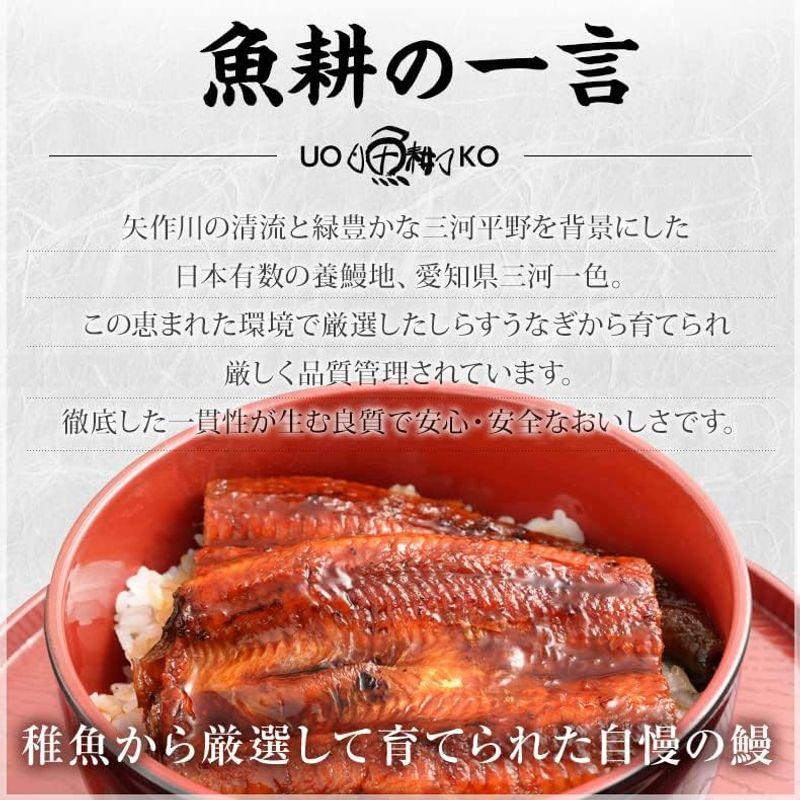 魚耕 三河 うなぎ 国産 一色産 蒲焼き 140g×2尾 セット お歳暮 御歳暮 ギフト