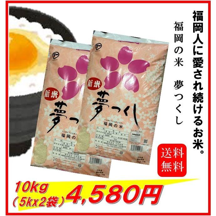 新米　米　お米　１０ｋｇ（５ｋｇ×２）　福岡県産　夢つくし　ゆめつくし　令和５年産　送料無料