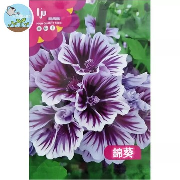 【原廠包裝】錦葵種子 約200粒 多年生開花不斷 紫色粉色花海 陽台花園可種 蜜源植物 新手易種 台灣現貨