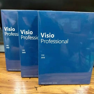 【現貨當天出貨】Visio 2024 專業版 2019 2021 彩盒 產品金鑰 project 永久買斷