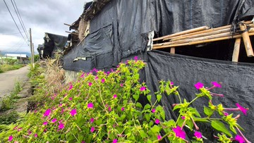 【新社香菇寮大地坪】平坦方正農牧用地｜台中市新社區大南段大南小段