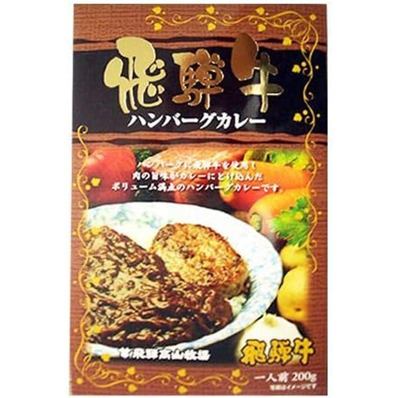 10箱セット 飛騨高山牧場 飛騨牛ハンバーグカレー 200g×10箱セット (箱入) 全国こだわりご当地カレー