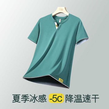 短袖T恤男士冰絲薄款速干上衣2024夏季寬松休閑體恤運動衣服
