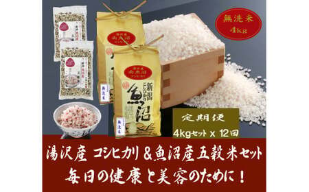 令和5年産米 湯沢産コシヒカリ＜無洗米＞4kg（2kg×2袋）と「日本で唯一」魚沼産五穀米400g（200g×2袋）のセット 魚沼最上流域 魚沼産コシヒカリ