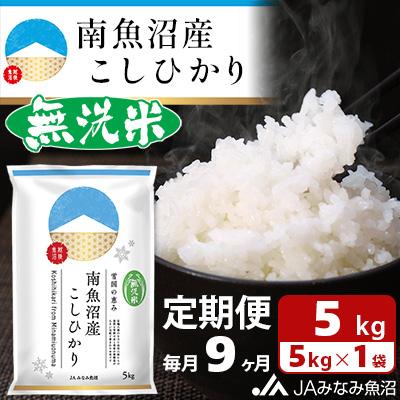 ふるさと納税 南魚沼市 ≪無洗米≫南魚沼産こしひかり 精米 5kg 全9回