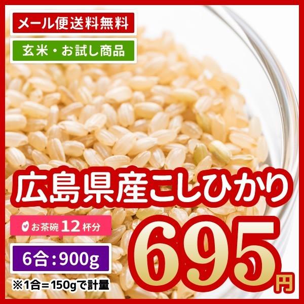 玄米 送料無料 お試し 米 お米 広島県産 コシヒカリ 900g （450g× 2） ポイント消化 令和5年産 ※ゆうパケット配送のため日時指定・代引不可