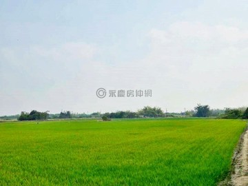 專-官田區角秀段都內美農地整合開發首選 F｜台南市官田區角秀