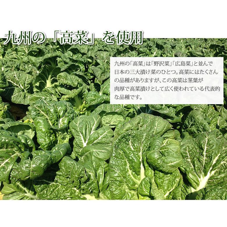 明太からし高菜漬 送料無料 明太高菜 漬物 360g（120g×3袋）海千 博多明太子 お試し お取り寄せ 九州産高菜 辛子高菜 つけもの