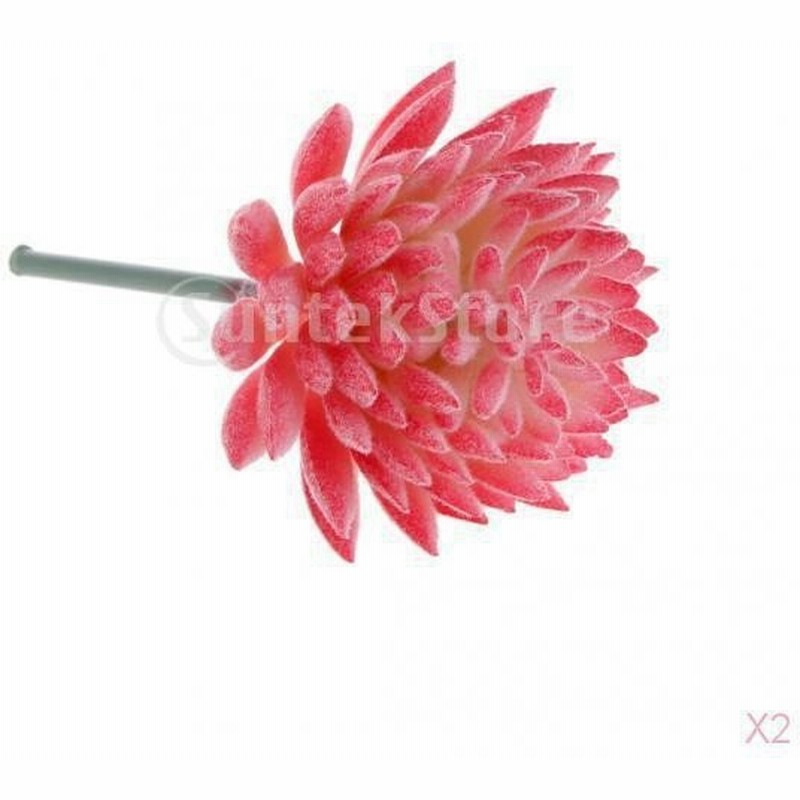 2個入り 赤い 人工観葉植物 人工 ジューシー ミニ 蓮の花 植物 家庭菜園 バルコニー 装飾 通販 Lineポイント最大0 5 Get Lineショッピング