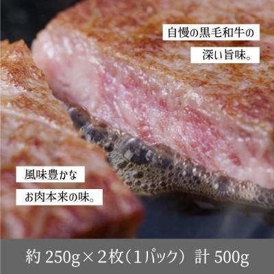 ふるさと納税 産山村 くまもと黒毛和牛・サーロイン約500g