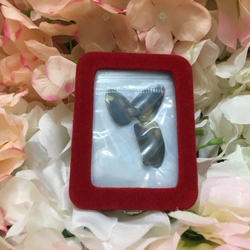 【巴哈樂器批發】琵琶專用指甲