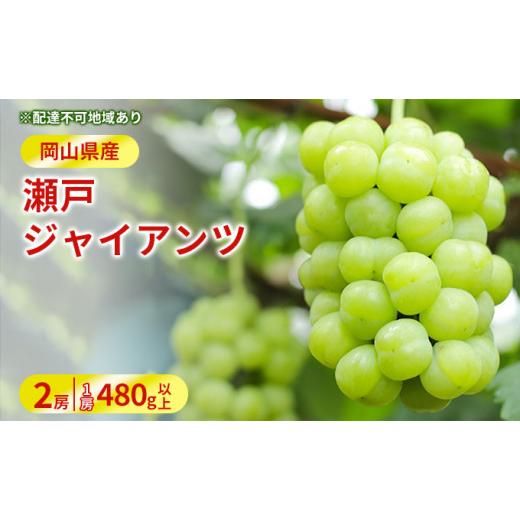 ふるさと納税 岡山県 岡山市 ぶどう 2024年 先行予約 瀬戸 ジャイアンツ 2房（1房480g以上）約1kg 化粧箱入り ブドウ 葡萄  岡山県産 国産 フルーツ 果物 ギフ…