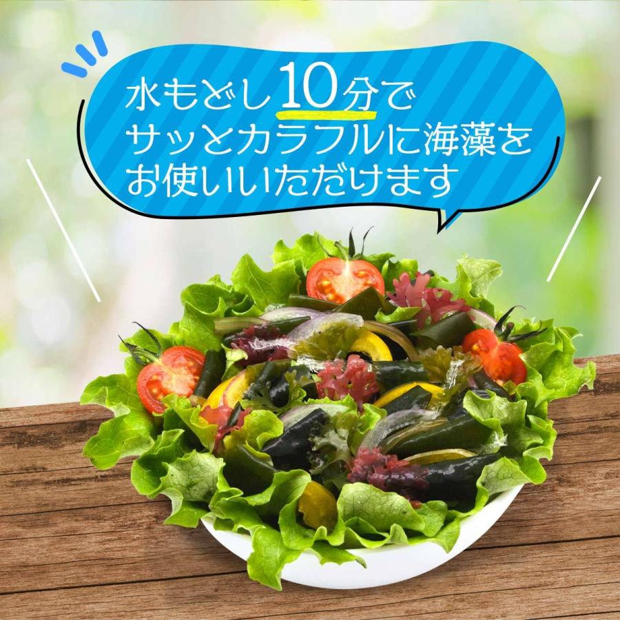 送料無料 [山忠] 乾物 海藻サラダ 15g(5g×3袋セット)  サラダ 海藻 糸かんてん 酢の物 海藻スープ つま 海藻サラダ