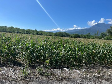 《專售》兆豐方正免填土玉米園出價好談5F1446｜花蓮縣鳳林鎮榮昌段