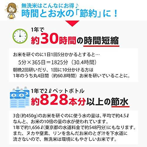  無洗米 20kg (5kgx4袋) こつぶ姫 山形県産 白米