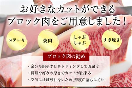 《プロシリーズ》佐賀牛赤身の極み モモブロック500g 牛肉 ステーキ ローストビーフ ギフト 黒毛和牛 すき焼き しゃぶしゃぶ 希少部位 焼肉 自宅 BBQ アウトドア 「2023年 令和5年」