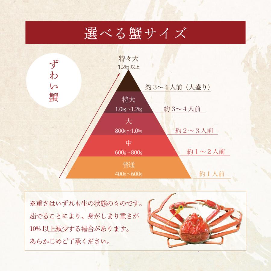 かに カニ 蟹 越前がに 越前蟹 ずわい蟹 ズワイガニ ずわいがに 姿 送料無料 取り寄せ お歳暮 ギフト プレゼント お祝い 特大サイズ 1.0kg〜1.2kg 2杯