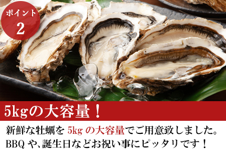 『予約受付』 いろは島の料理長が厳選！唐津産 牡蠣5kg ナイフ 軍手付 (加熱用)殻付き かき カキ 殻付き牡蠣 養殖 まがき 貝 海鮮 シーフード