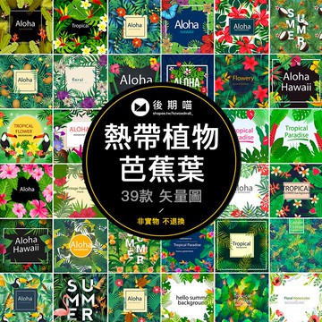 夏天森系熱帶植物芭蕉葉綠色花朵樹葉圖案水彩AI矢量設計素材S300