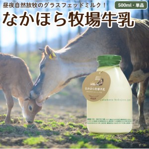 牛乳 500ml ノンホモ 低温殺菌 グラスフェッド 放牧 ジャージー お取り寄せ 瓶入り 瓶牛乳 牛乳瓶 ［冷蔵］