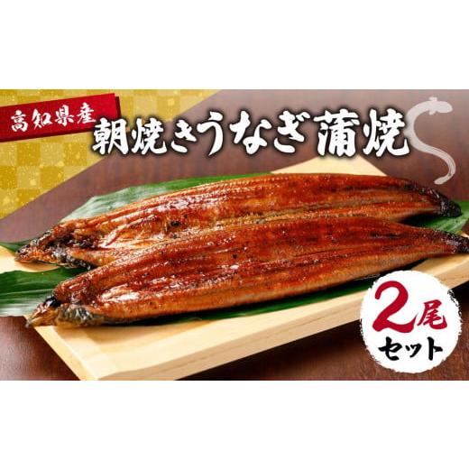 ふるさと納税 高知県 高知市 高知県産 朝焼きうなぎ蒲焼 2尾セット