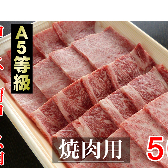 牛肉 飛騨牛 焼き肉 セット ロース 又は 肩ロース 500g 黒毛和牛 Ａ5 美味しい お肉 牛 肉 和牛 焼肉 BBQ バーベキュー 