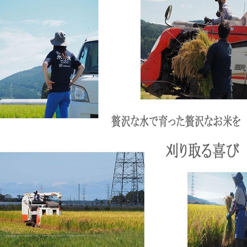 玄米山形県産 玄米 特別栽培米 氷河米 いのちの壱 2? 令和4年産 農家直送