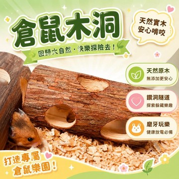 ⚡臺灣倉出⚡優選⭐倉鼠隧道造景鑽洞金絲熊實木管道樹筒天然木樹洞動物隧道運動玩具