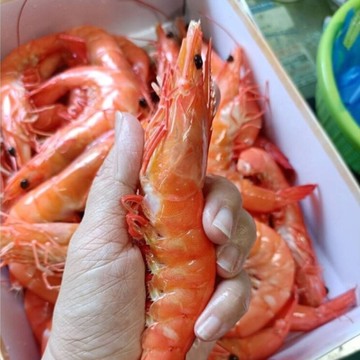 熟大白蝦(1000g/盒) 20/30 熟白蝦 超級大蝦 蝦肉Q彈 海鮮 熟蝦 方便料理 快速上桌