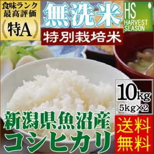 [売り尽くし特価] 無洗米 特別栽培米 新潟県 魚沼産 コシヒカリ10kg(5kg×2袋)  令和4年産  特Ａ獲得米 [翌日配送] 送料無料 北海道沖縄